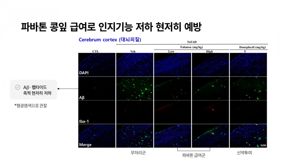 기술안내 이미지 18