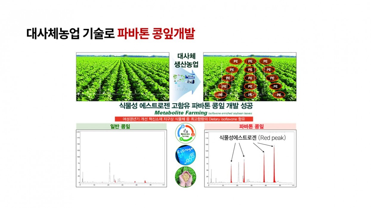 기술안내 이미지 3